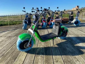 Scooter Elétrica Citycoco Kraft Müller 1500W – Fat Tire | Selim em Couro | 8 Cores